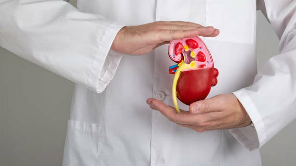 Best Nephrologist in Dadar